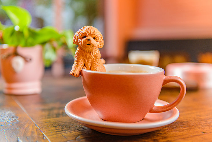 A playful marshmallow dog tops a Nubo coffee, reflecting the colorful details and distinctive presentation found throughout the café.
